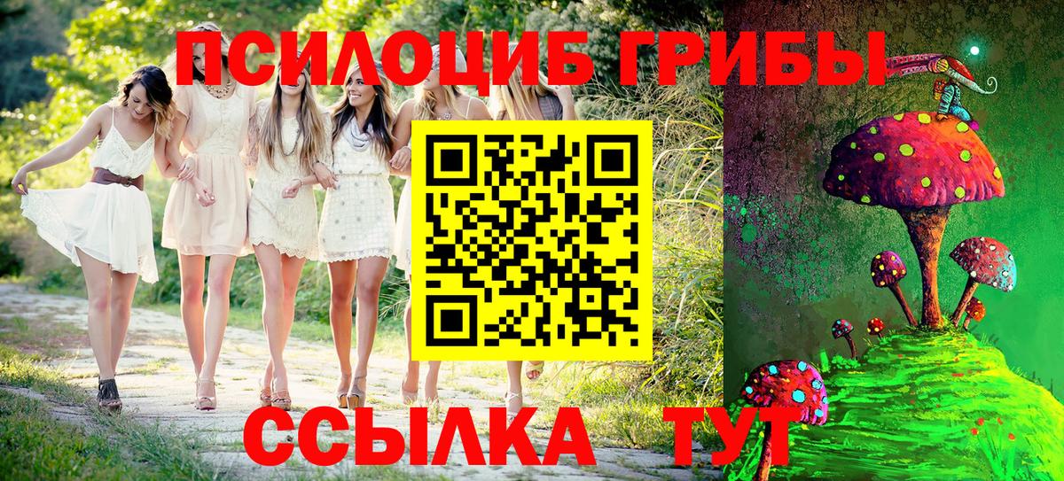 Галлюциногенные грибы GOLDEN TEACHER  купить наркотики цена  Железноводск  Вход с VPN 